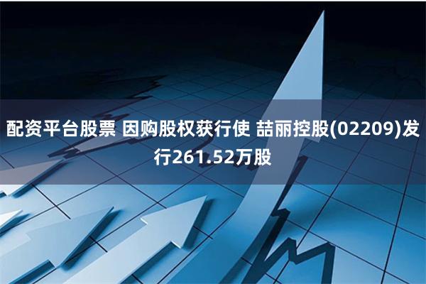 配资平台股票 因购股权获行使 喆丽控股(02209)发行261.52万股