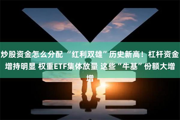 炒股资金怎么分配 “红利双雄”历史新高！杠杆资金增持明显 权重ETF集体放量 这些“牛基”份额大增